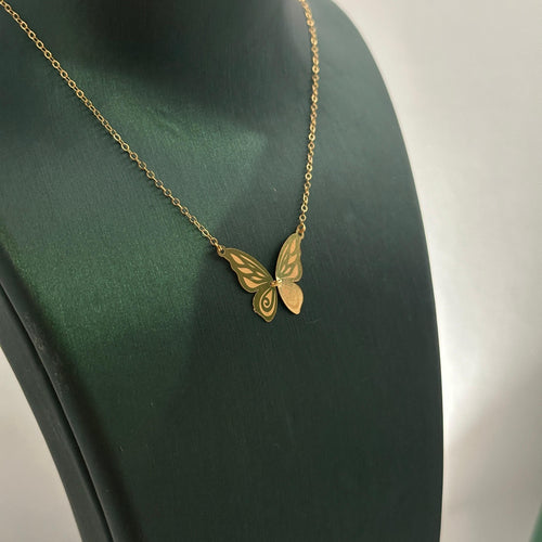 فراشة - سلسال
